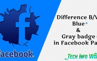 Facebook Page Blue and Gray Badge