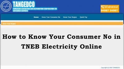 tneb know consumer no online