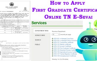 apply first graduate certificate online tn esevai