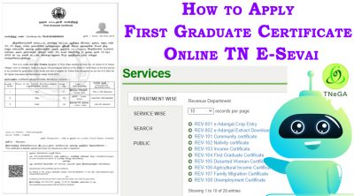 apply first graduate certificate online tn esevai