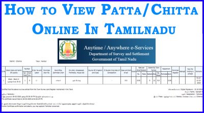 view patta chitta online in tamilnadu