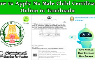 how to apply no male child certificate online in tamilnadu