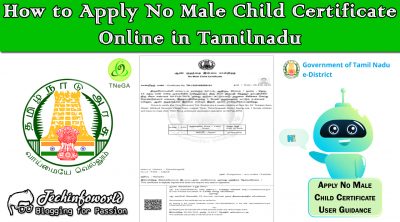 how to apply no male child certificate online in tamilnadu