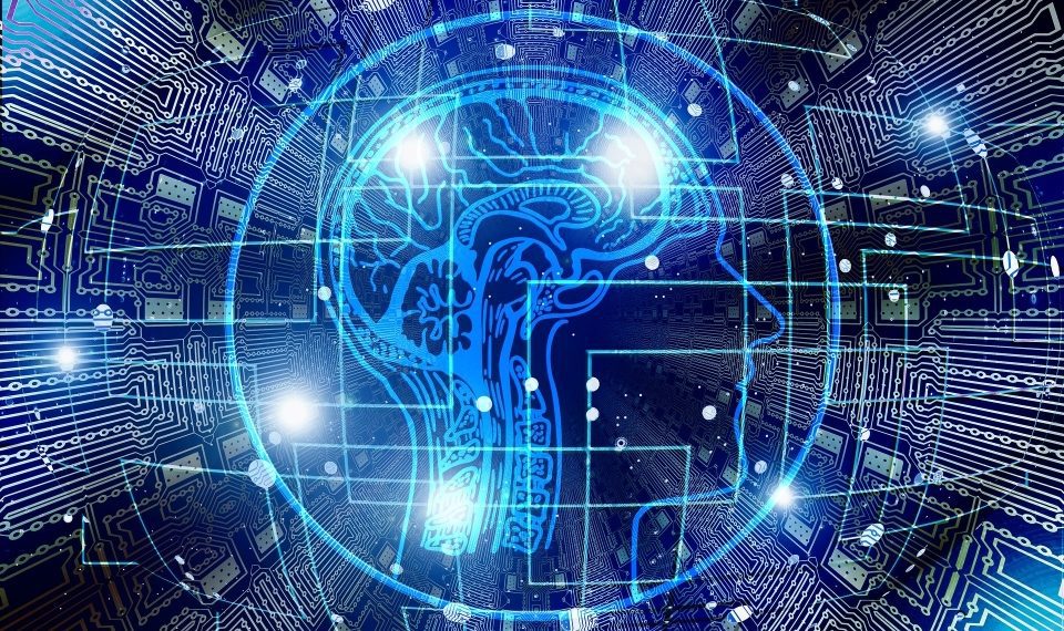 Data Observability